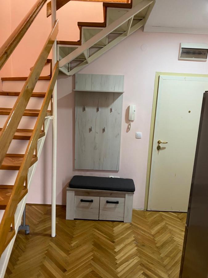 נובי סאד Apartment Cactus 021 מראה חיצוני תמונה