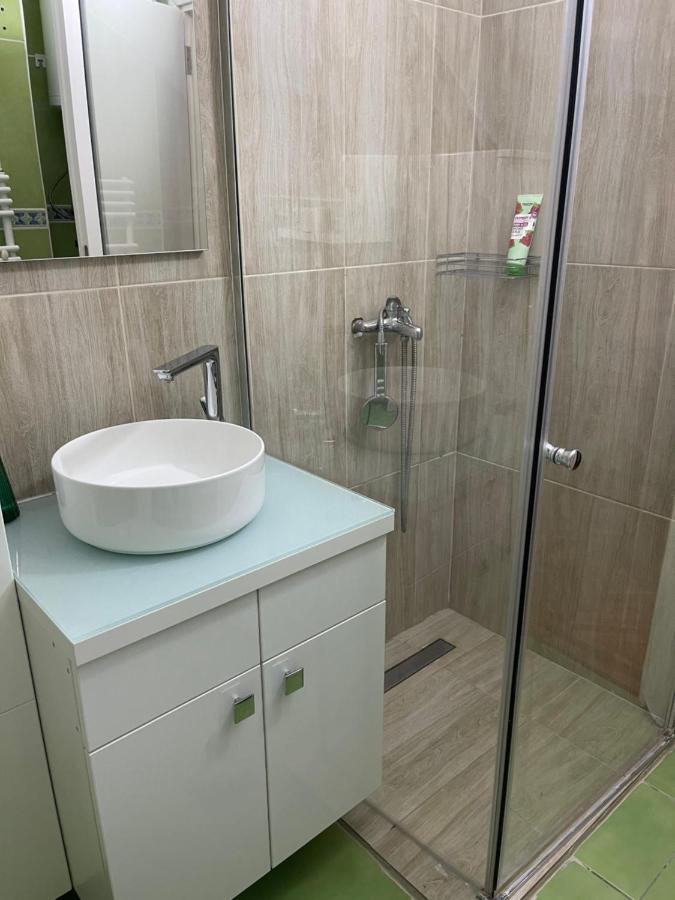 נובי סאד Apartment Cactus 021 מראה חיצוני תמונה