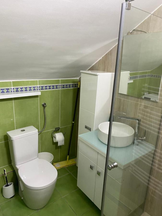 נובי סאד Apartment Cactus 021 מראה חיצוני תמונה