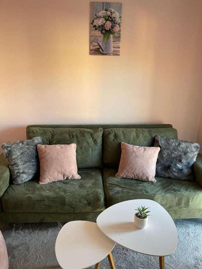 נובי סאד Apartment Cactus 021 מראה חיצוני תמונה