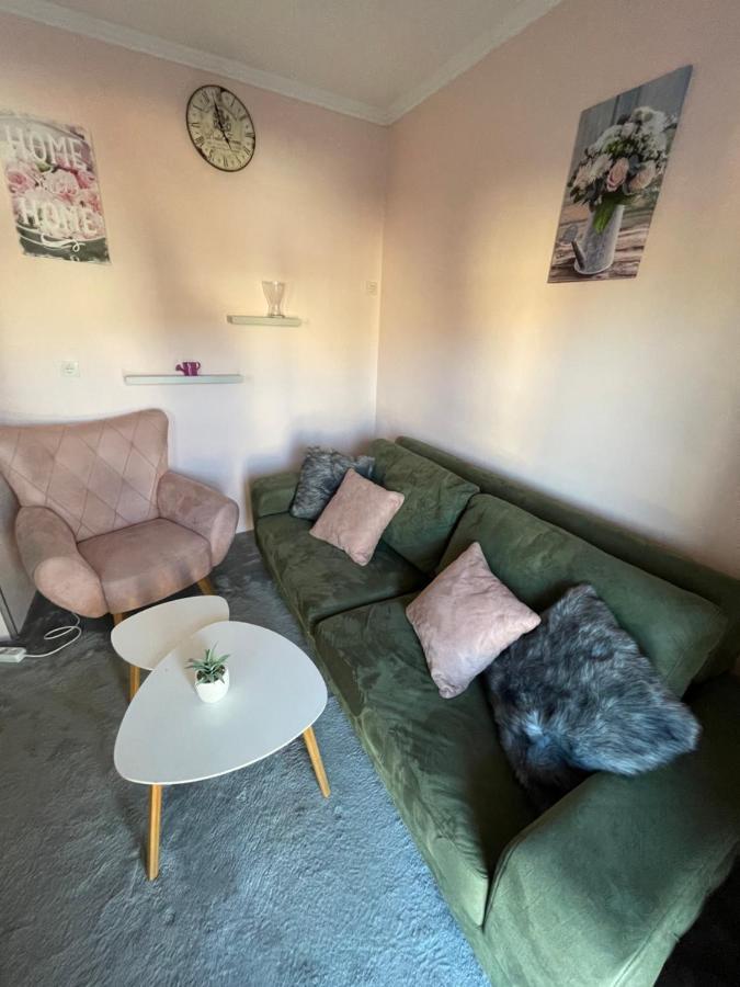 נובי סאד Apartment Cactus 021 מראה חיצוני תמונה