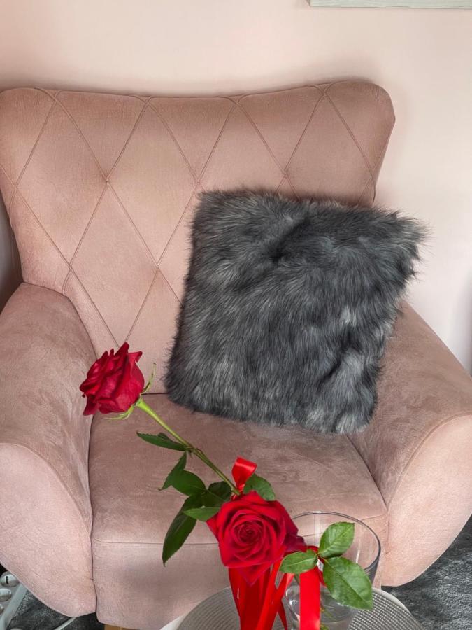 נובי סאד Apartment Cactus 021 מראה חיצוני תמונה