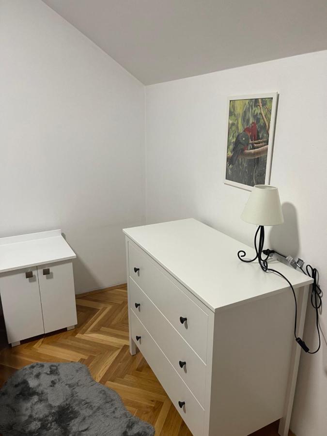 נובי סאד Apartment Cactus 021 מראה חיצוני תמונה