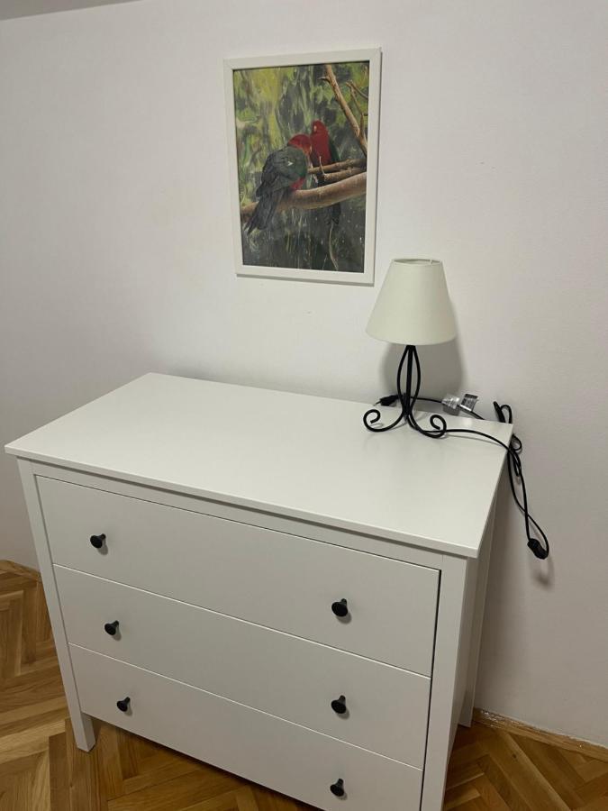 נובי סאד Apartment Cactus 021 מראה חיצוני תמונה