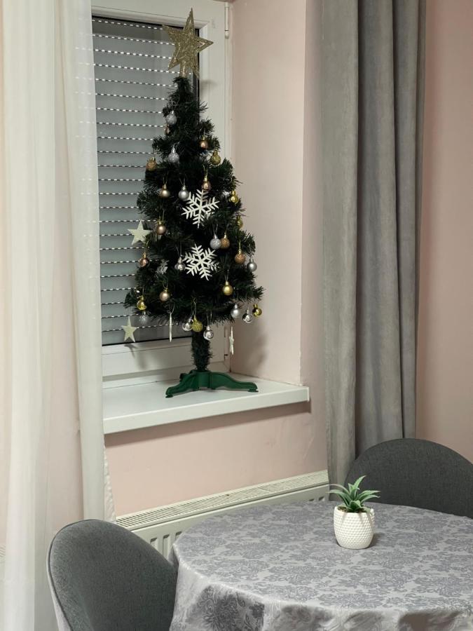נובי סאד Apartment Cactus 021 מראה חיצוני תמונה