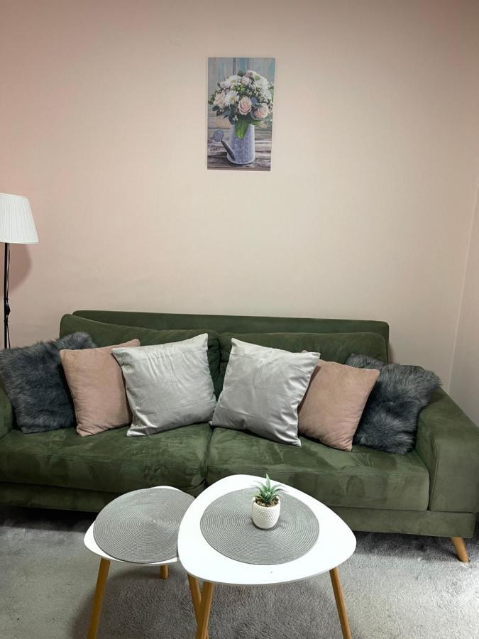 נובי סאד Apartment Cactus 021 מראה חיצוני תמונה